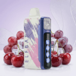 グレープチェリー Grape Cherry｜ELFBAR Ice King 25000口 使い捨てVAPE 正規品通販